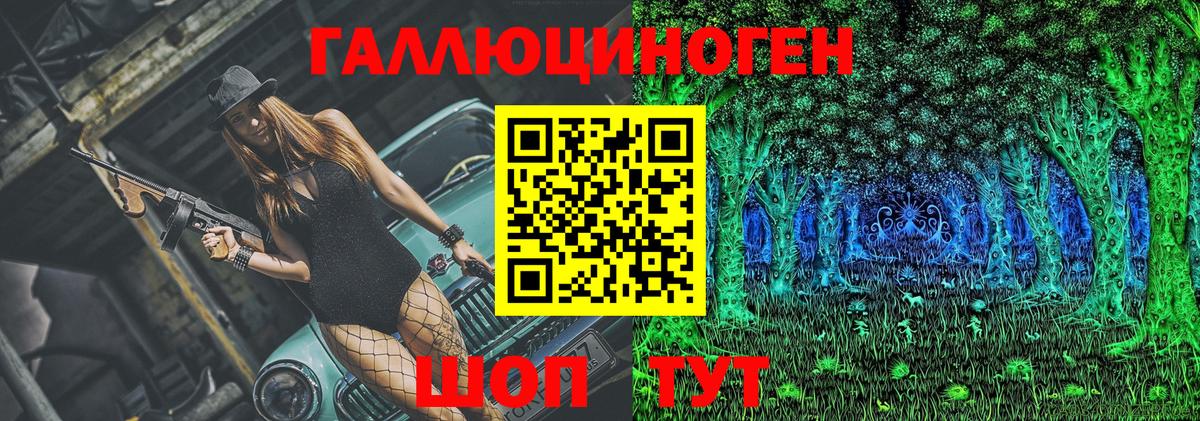 Псилоцибиновые грибы Psilocybine cubensis Боровичи